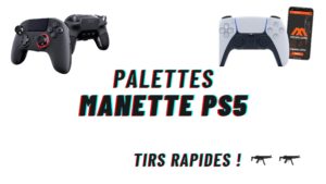 palette manette ps5